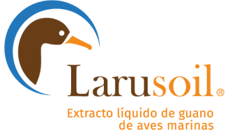 LarusoilLOGO