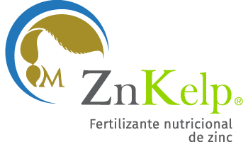 Logo_ZnKelp