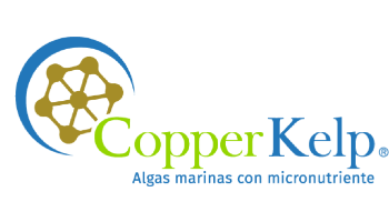 copperkelpLOGO